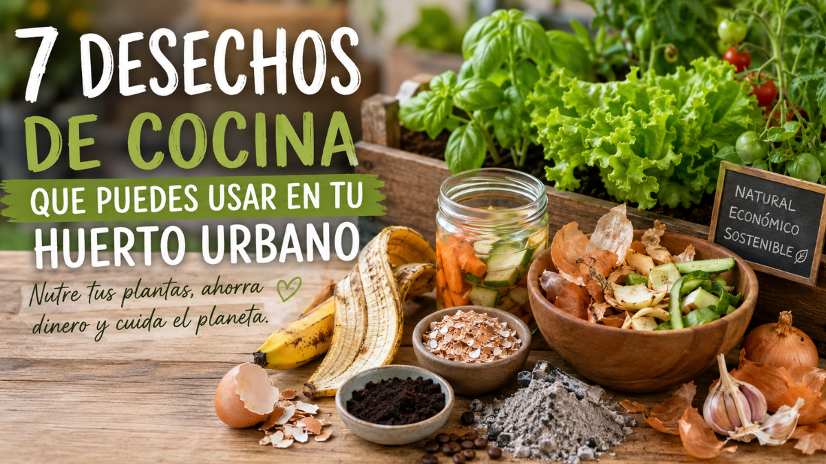7 desechos de cocina que transformarán tu huerto urbano y llenarán tus plantas de vida.